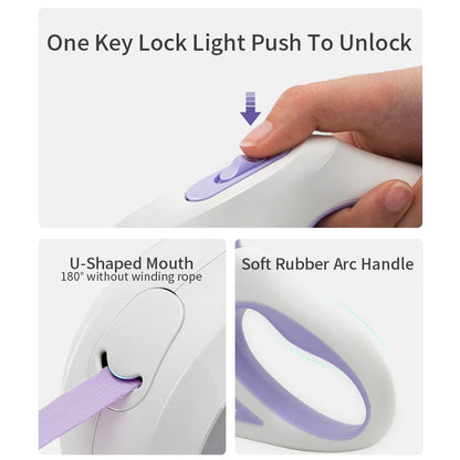 laisse avec lumière pour promenade nocturne