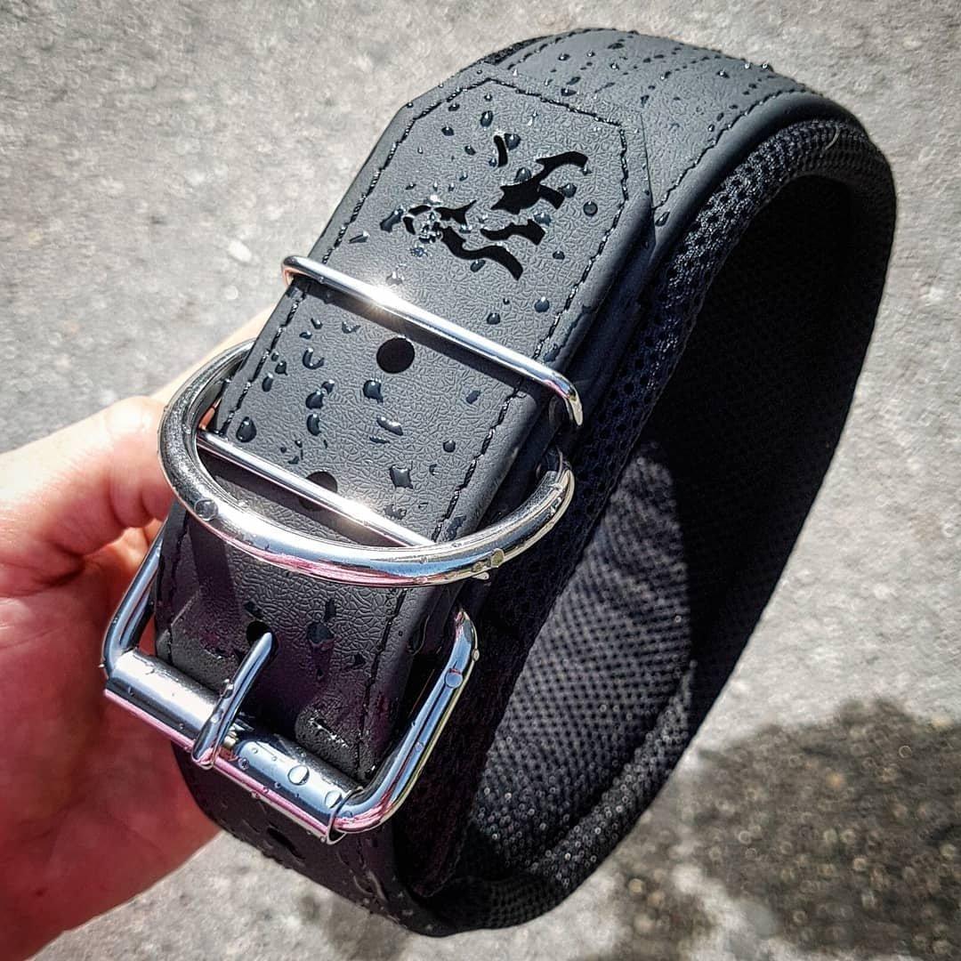 Tactical Premium 🐺 Collier BESTIA Dog Sport - Ultra Heavy Duty Matt Black (Inox & Waterproof)