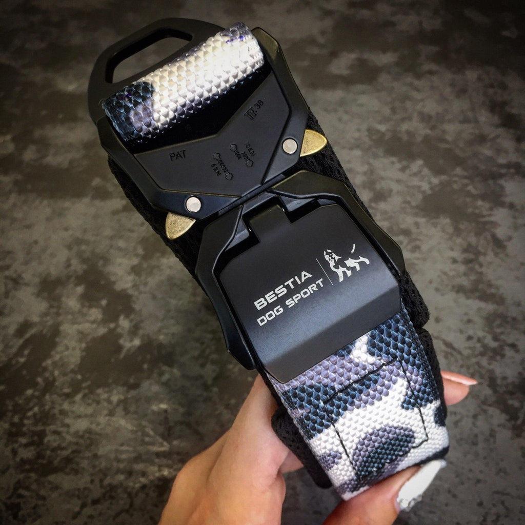🐺 BESTIA DOG SPORT - FAST RELEASE COLLAR