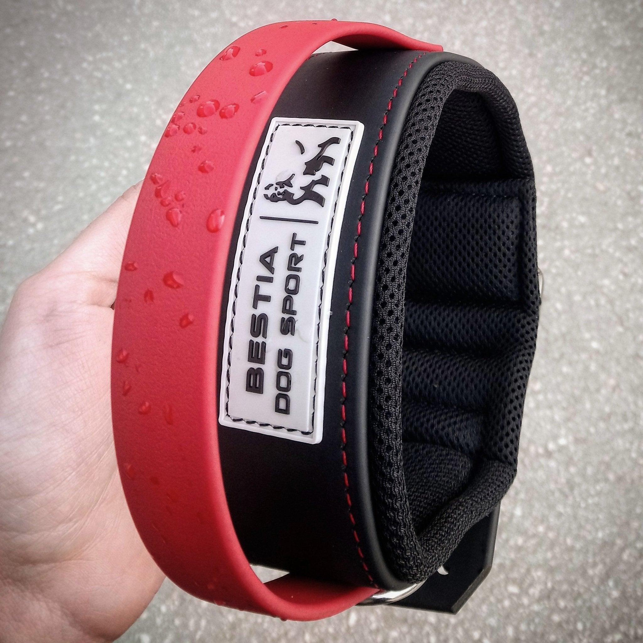 Dog 🐶 BESTIA DOG SPORT - Red Handle Collar Collier Heavy‑Duty avec Poignée Rouge - Acier Inox & Coussin Confort
