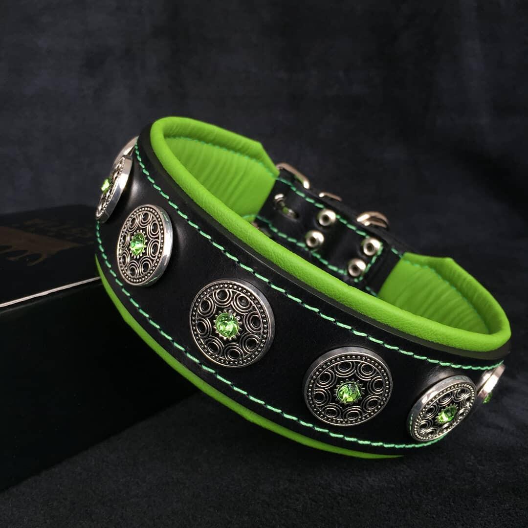 💚 🐕 Bijou Collar - Noir & Vert