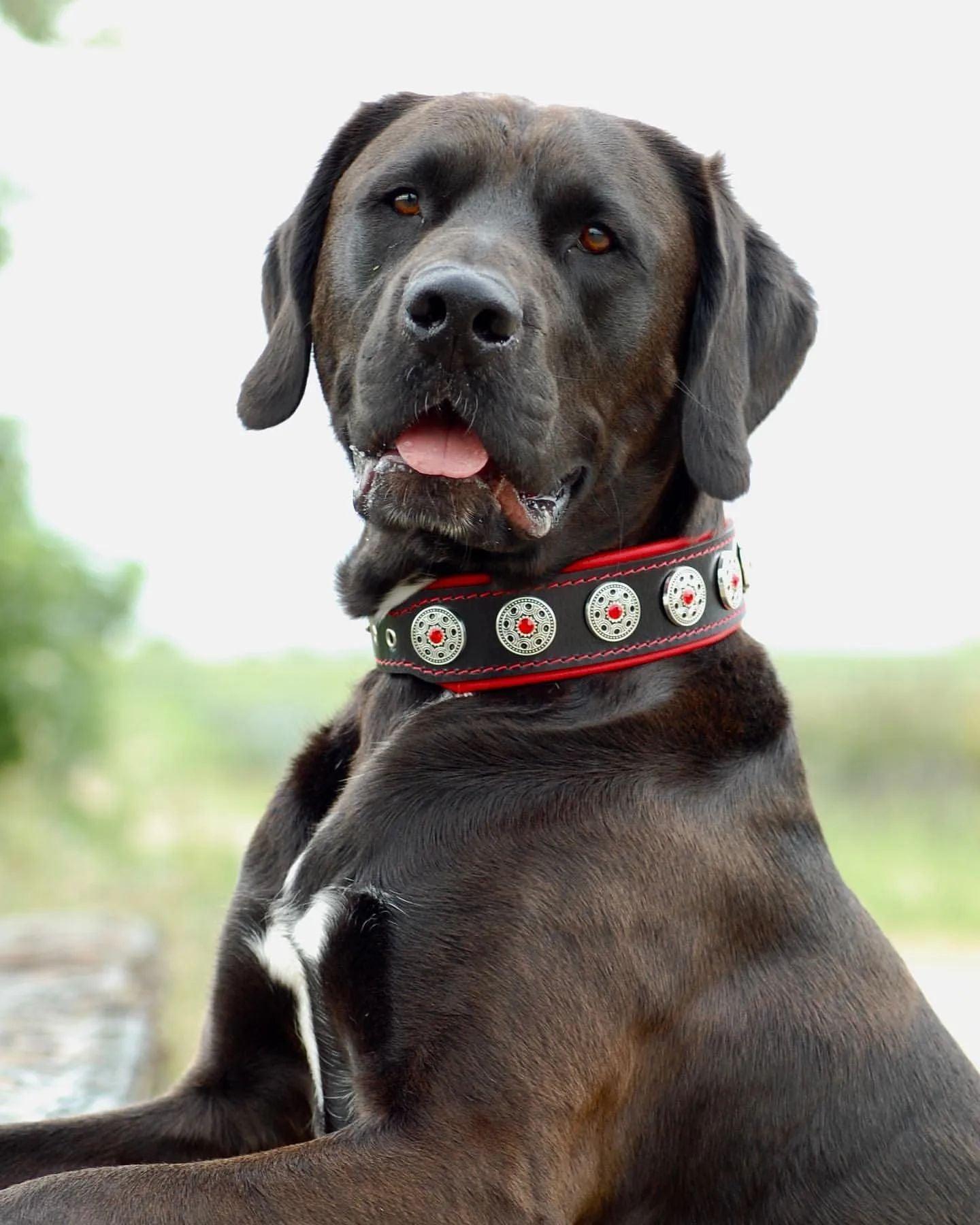 Luxe Artisanal 🐺 BIJOU COLLAR - Black & Red Edition (Fait Main en Europe)