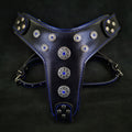 🐕 BESTIA “Bijou” Harness Black & Blue - Premium Leather Harness for Medium, Large & Giant Dogs | Handmade in Europe