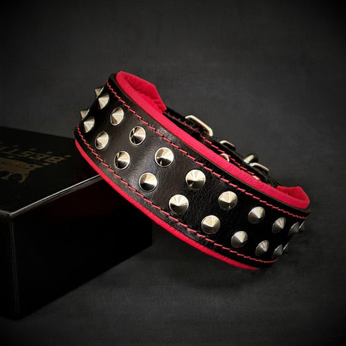 BOSTON™ Collar 🖤✨ | Collier Clouté Premium pour Chiens Petits à Moyens