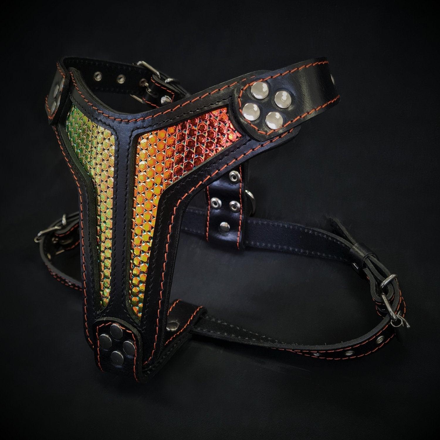 Luxe Artisanal Dog 🐺 BESTIA “D’Albertis” - Harnais Cuir Premium & PRADA‑Style (Fait Main en Europe)
