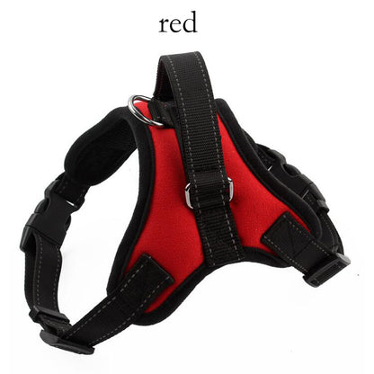 accessoire promenade chien