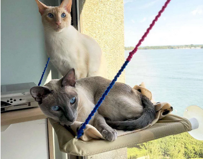 Lit suspendu pour chat avec ventouses puissante