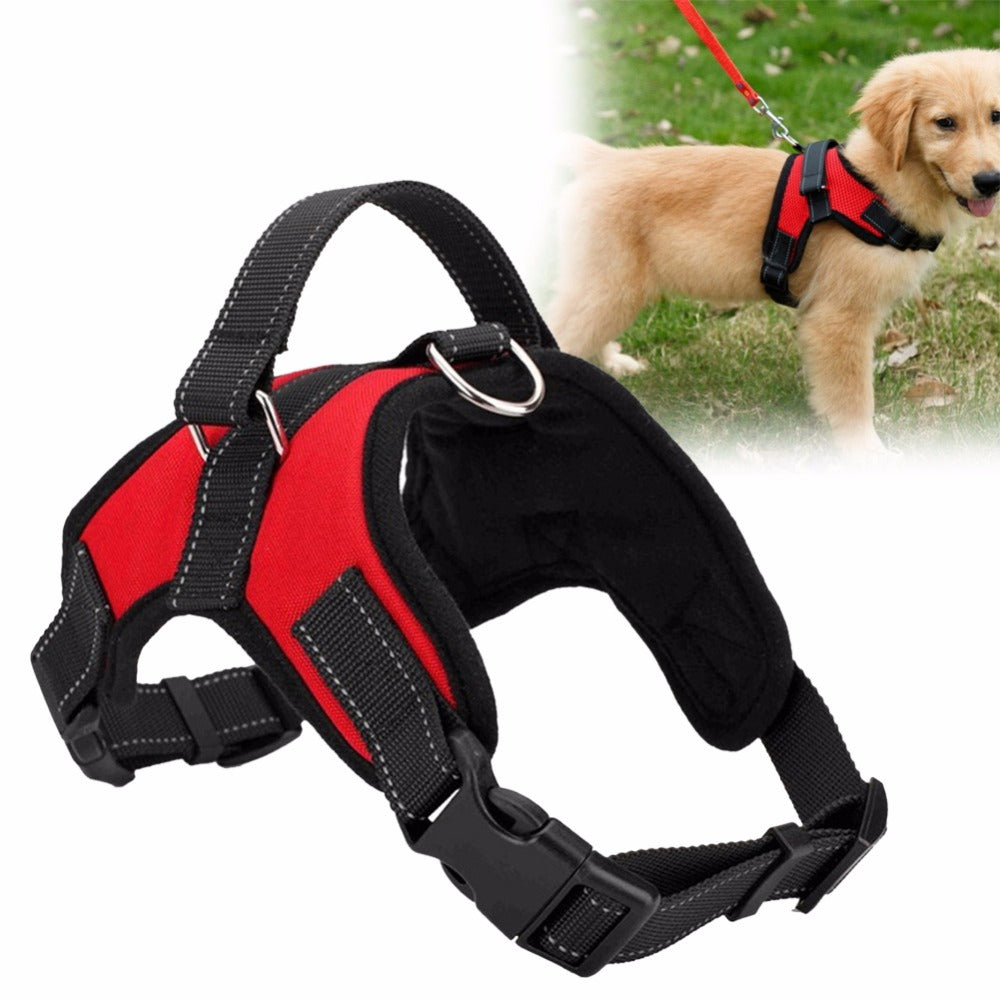 harnais ergonomique pour chien