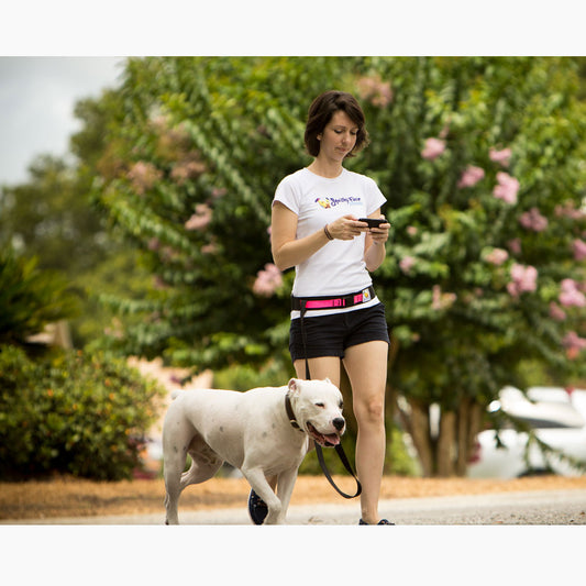 Ceinture Mains Libres pour Promener son Chien - Compatible Toutes Laisse - Squishy Face Studio