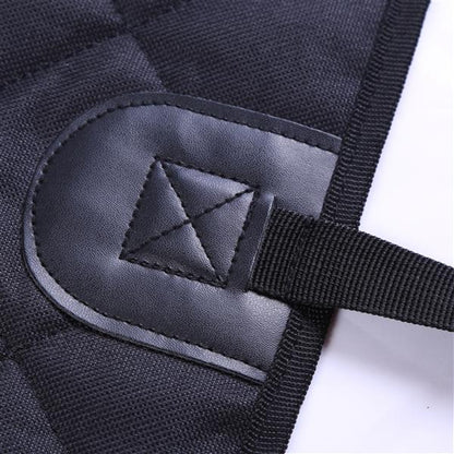 accessoire voiture pour chien