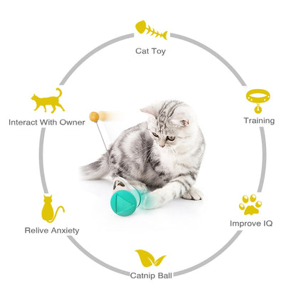 Jouet en ABS alimentaire pour chats