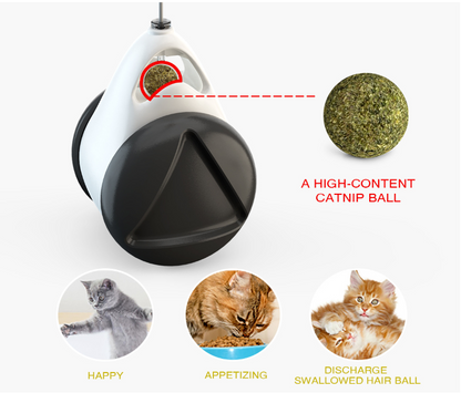 Jouet intelligent pour chats destructeurs