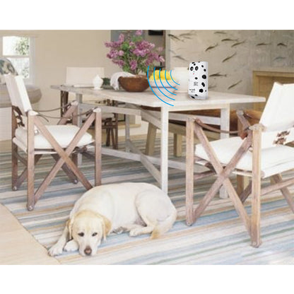 accessoire éducatif pour chien