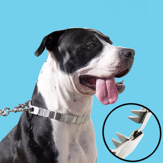 🐕 Fierce Dog Training Collar (Collier d’entraînement à pointes émoussées - acier inoxydable)