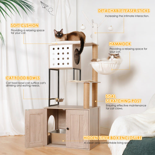 accessoire pour chat d’appartement