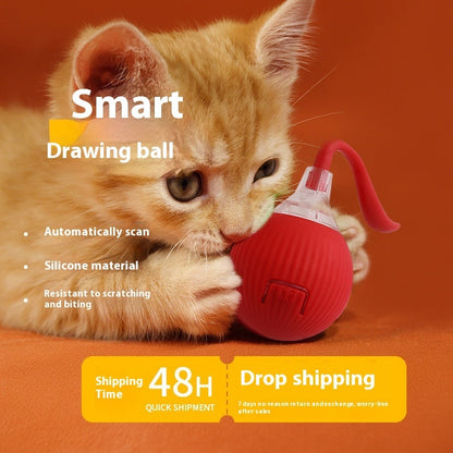 Accessoire anti-ennui pour chats actifs