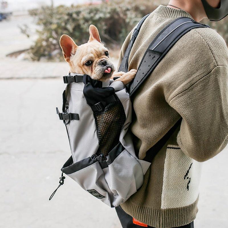 sac à dos pour chien