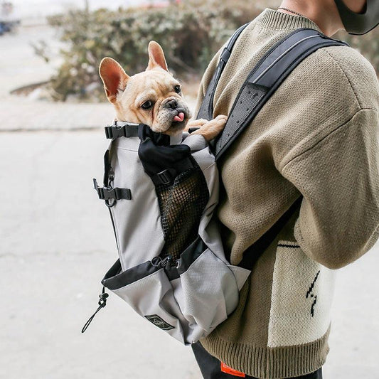 sac à dos pour chien