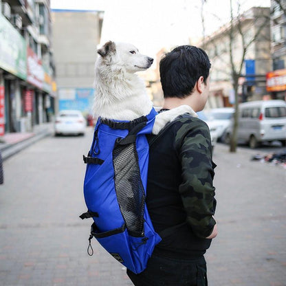 sac à dos pour chien