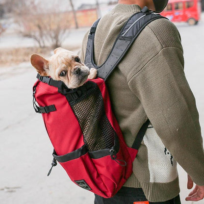 sac à dos pour chien