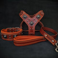 🧡🤎 EROS BIG Dog SET - Harnais + Collier + Laisse | Brown & Orange Edition