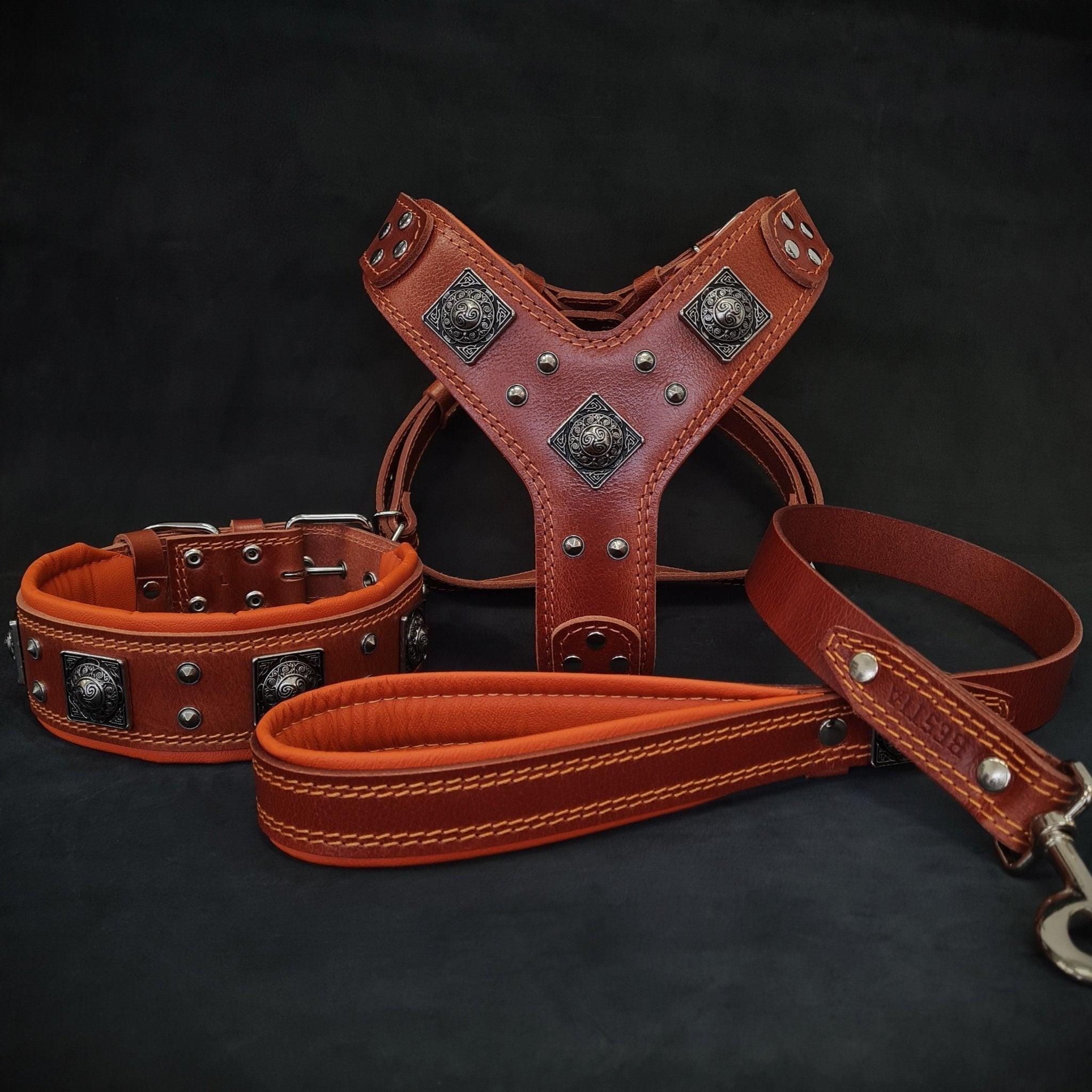 🧡🤎 EROS BIG Dog SET - Harnais + Collier + Laisse | Brown & Orange Edition