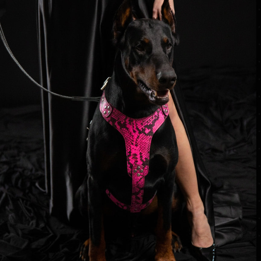 Premium Artisanal 🐺 Harnais BESTIA “Rock Python” - Cuir Python Rose (Fait Main en Europe)