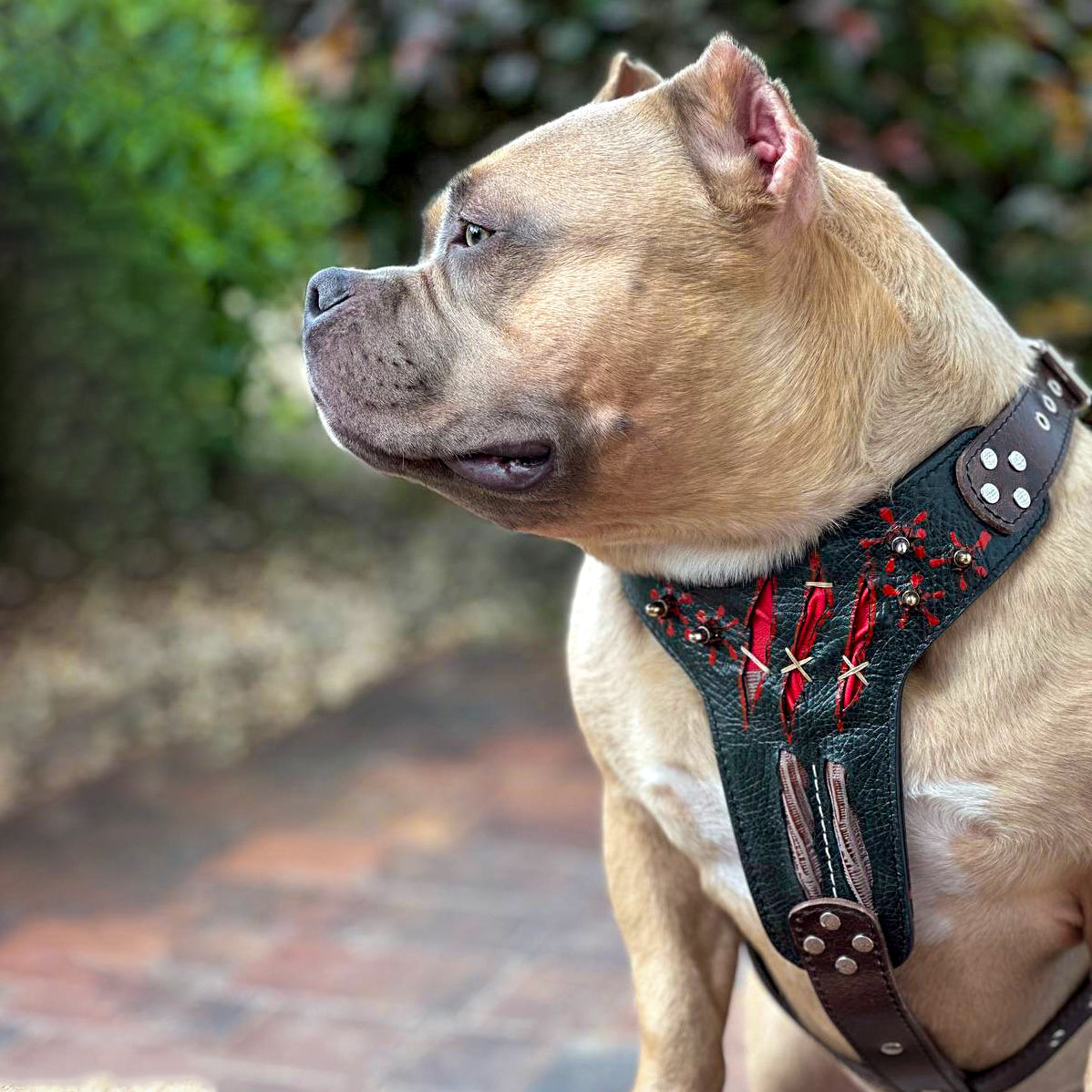 Luxe Artisanal Dog 🐺 HAUNTED HARNESS - Halloween Limited Edition (Fait Main en Europe)