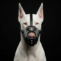 ''Eros'' Basket Muzzle All Black-1