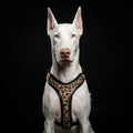 Luxe Artisanal Dog 🐺 BESTIA “Leopard” - Harnais Cuir Premium • Collector Édition Limitée (Fait Main en Europe)