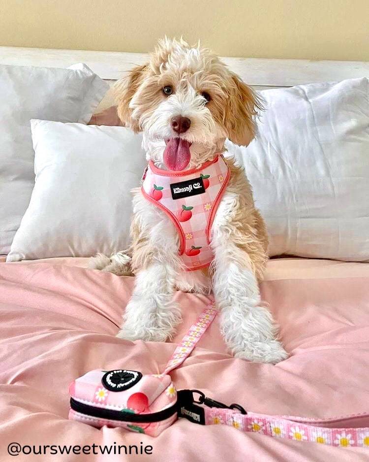 Il est léger, confortable et conçu pour éviter les tractions en répartissant le poids sur une large surface.