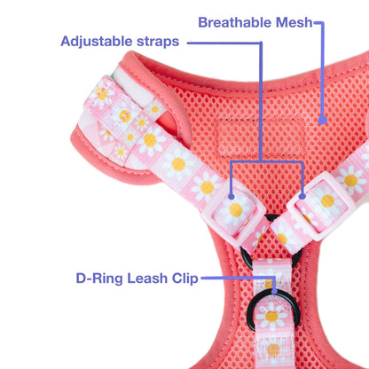 une boucle à dégagement rapide et un anneau en D pour attacher une laisse. 