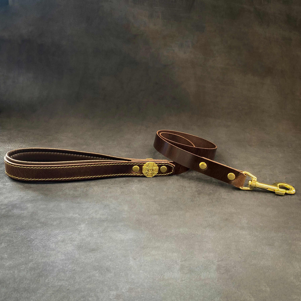 🐕‍♂️ Maximus Gold Leash - Laisse Premium 1” (2 cm)