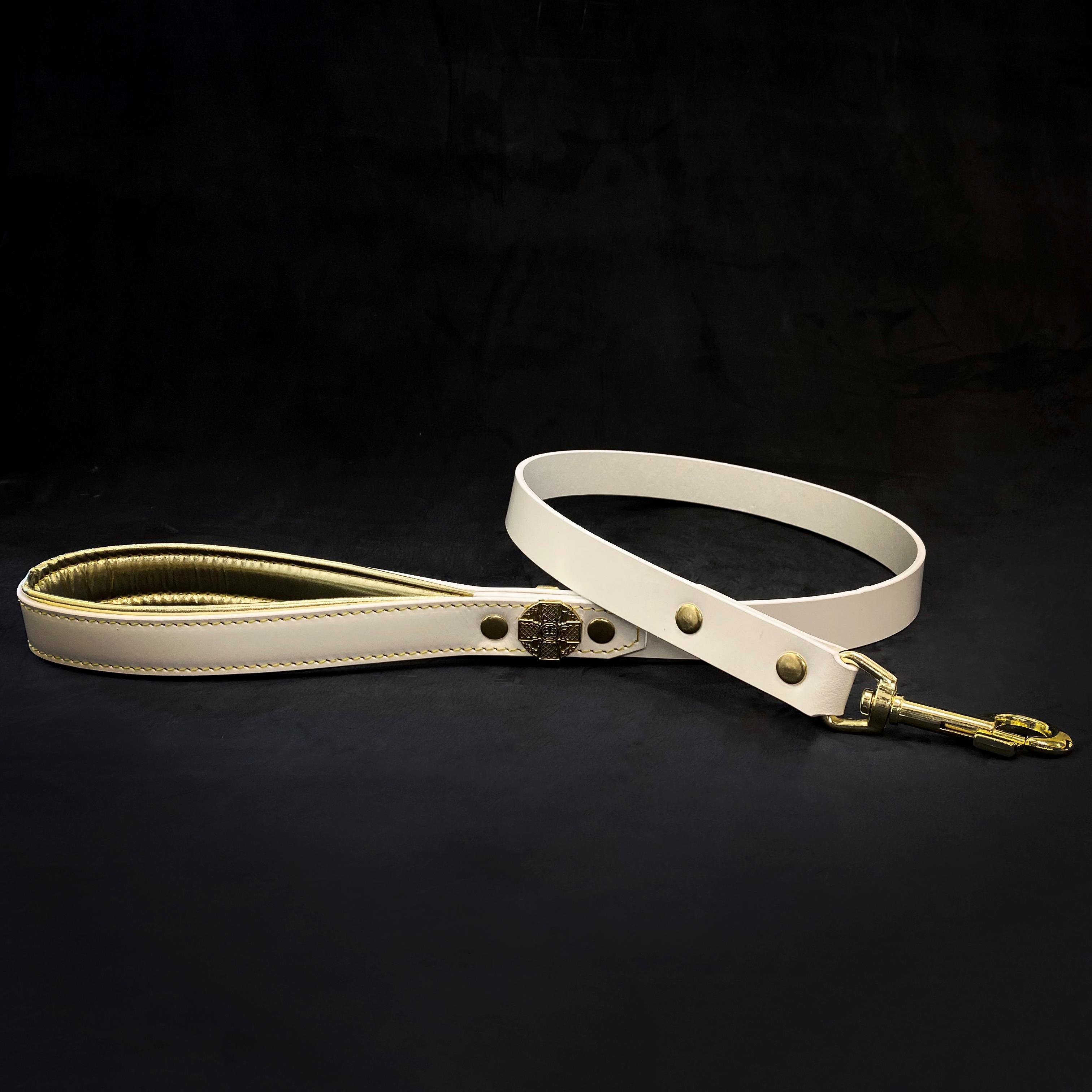🐕‍♂️ Maximus Gold Leash - Laisse Premium 1” (2 cm)