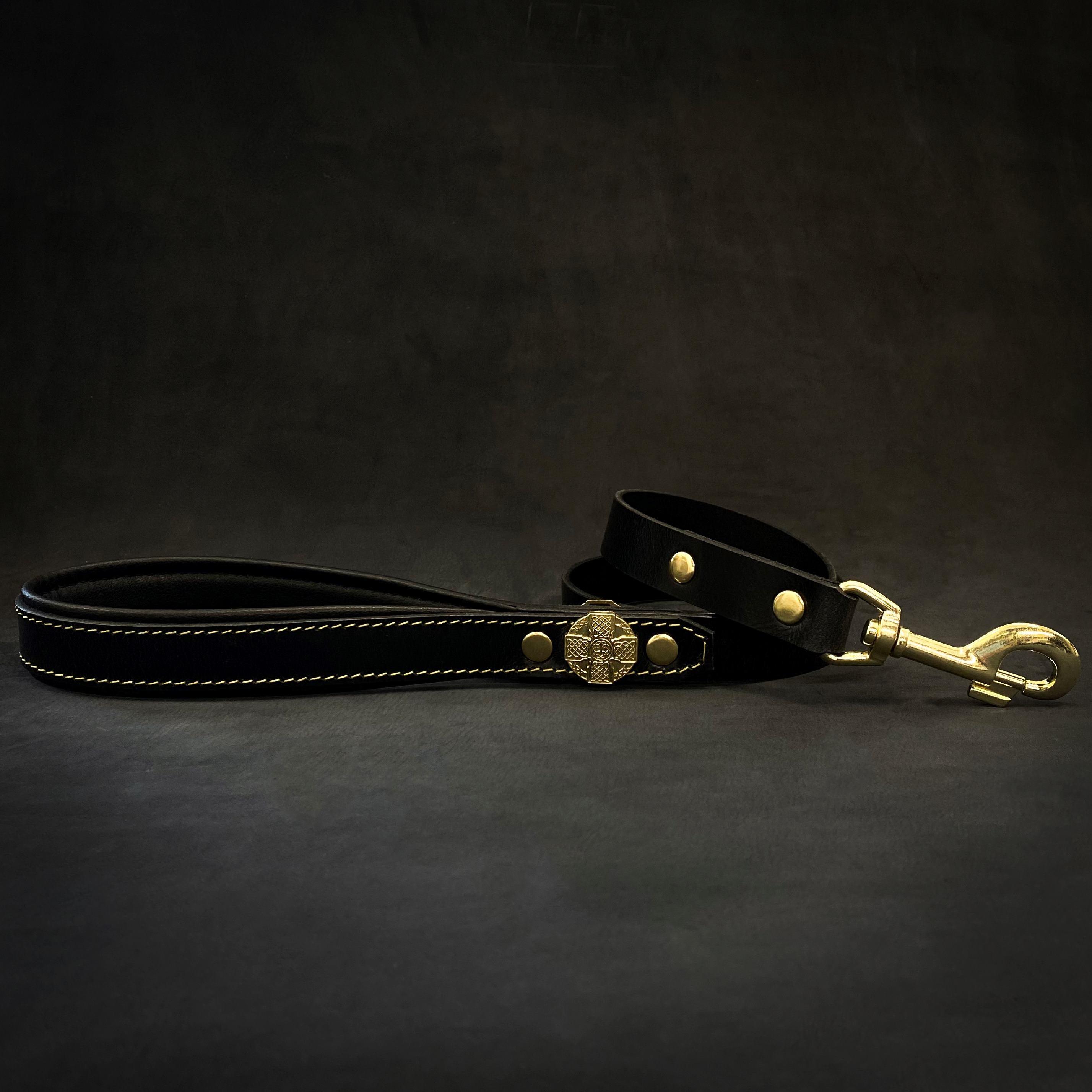 🐕‍♂️ Maximus Gold Leash - Laisse Premium 1” (2 cm)