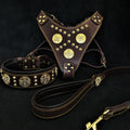 🐂 Maximus Brown BIG Dog SET - Harnais + Collier + Laisse | Brass Rivets