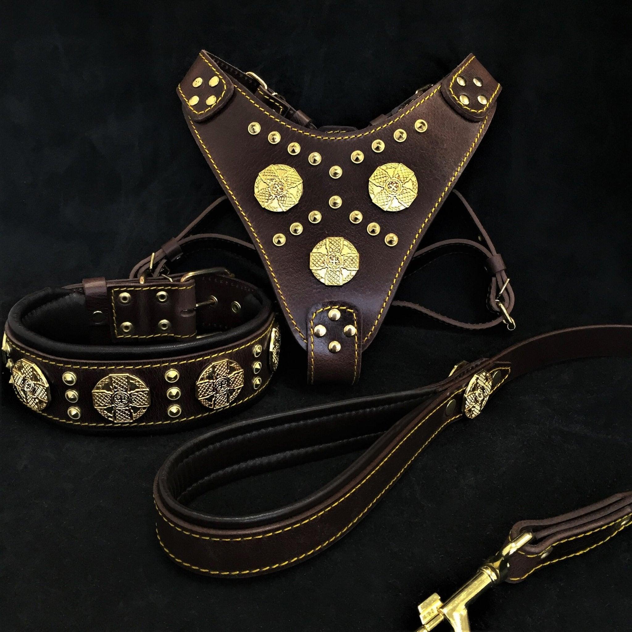 🐂 Maximus Brown BIG Dog SET - Harnais + Collier + Laisse | Brass Rivets