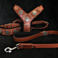 🤎 Maximus Silver BIG Dog SET - Harnais + Collier + Laisse | Brown Edition