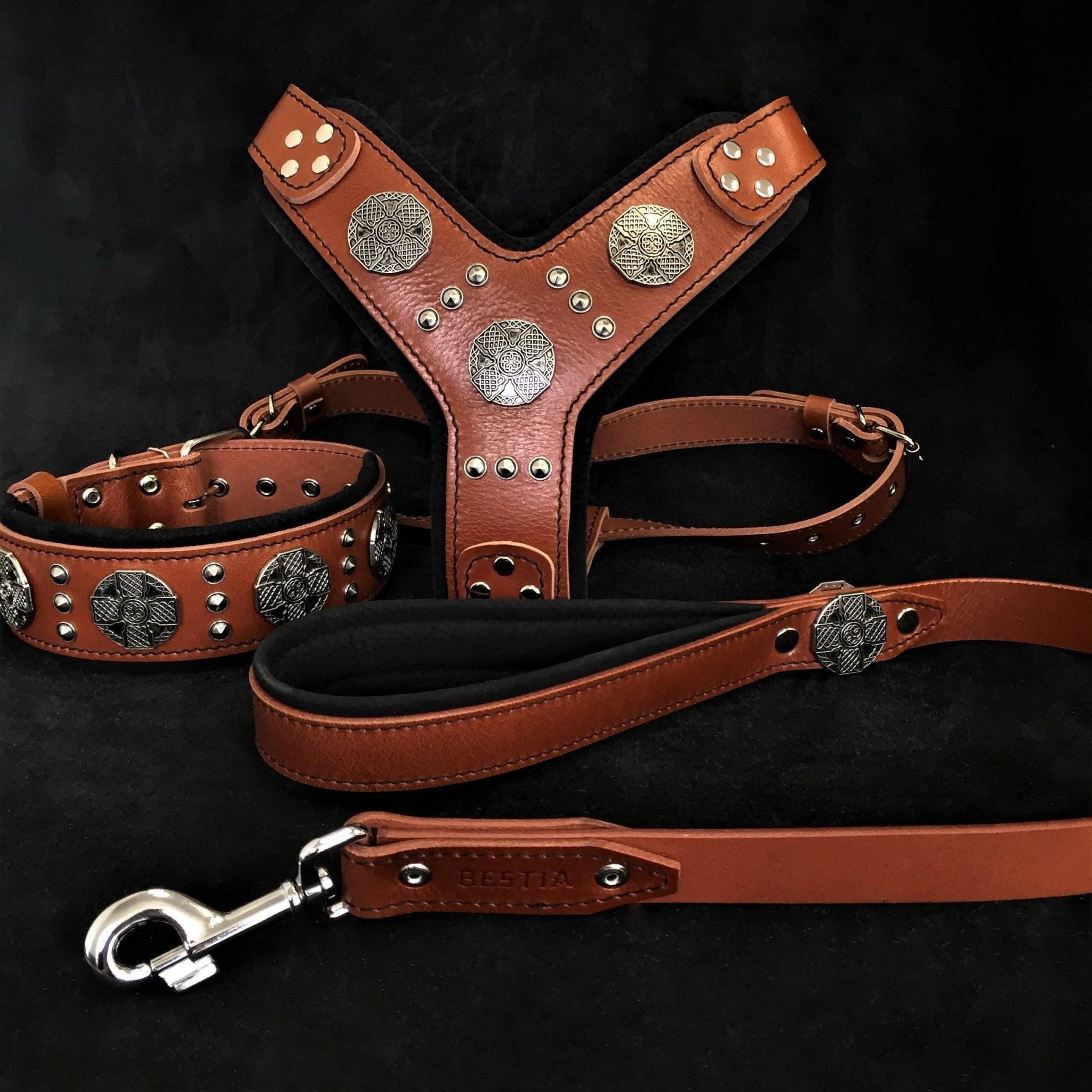 🤎 Maximus Silver BIG Dog SET - Harnais + Collier + Laisse | Brown Edition