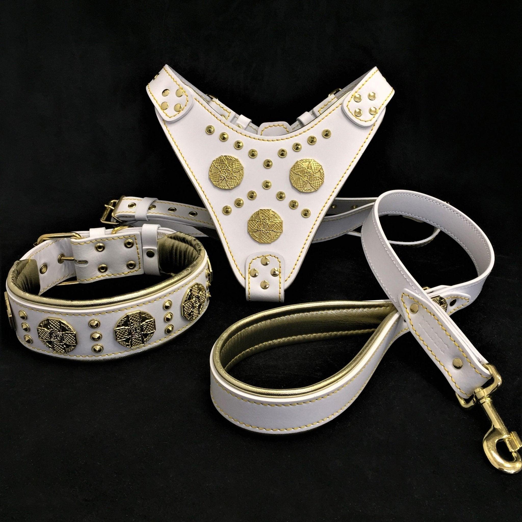 🤎 Maximus White BIG Dog SET - Harnais + Collier + Laisse | Brass Rivets