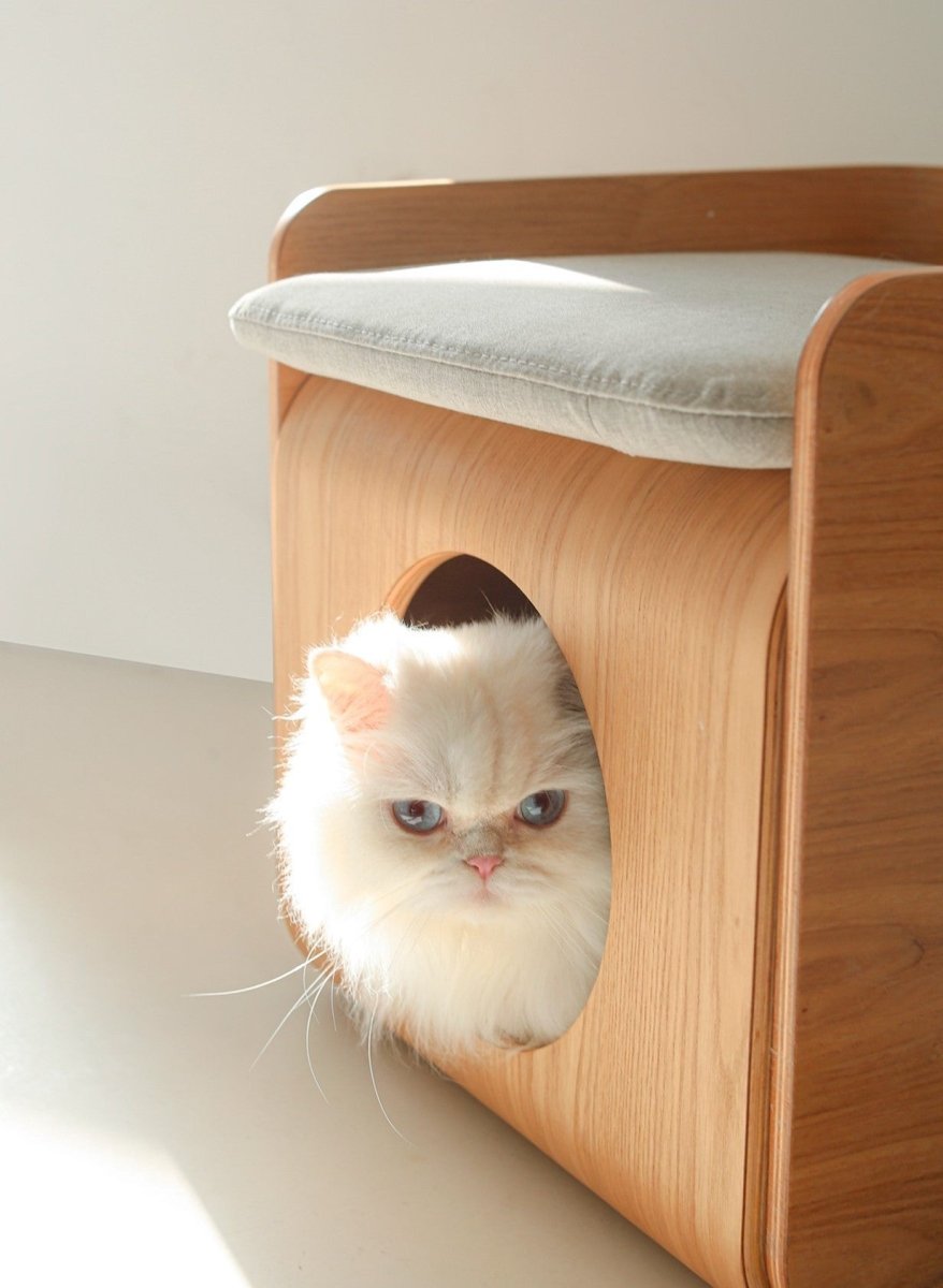 🐱 Natural Wood Cat Bed House