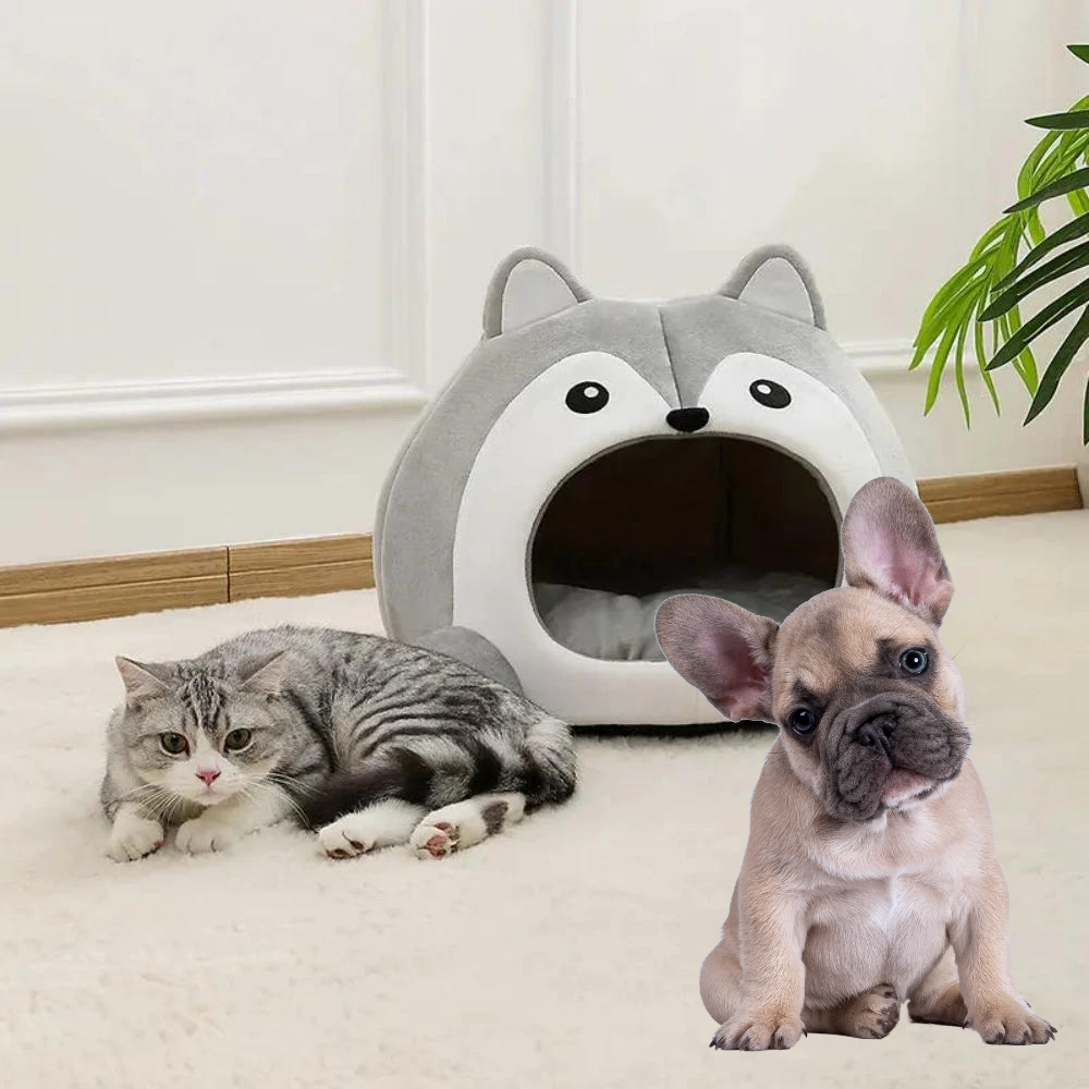 Maison pour animaux sur le thème du renard cartoon