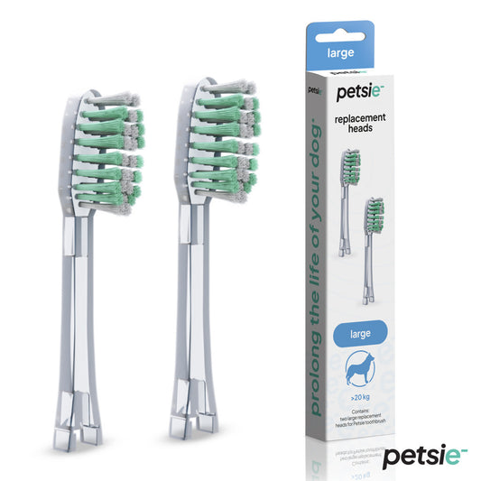 🐶 🦷 Petsie - Têtes de Rechange pour Brosse à Dents (Taille L - 20+ kg)