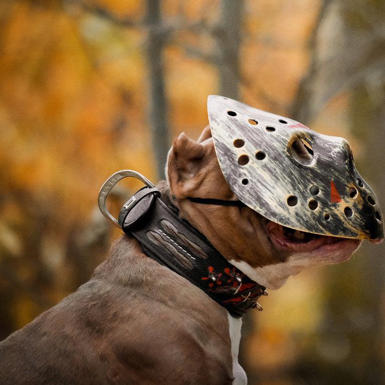 🐕‍🦺 The “Haunted” Collar - Limited Edition