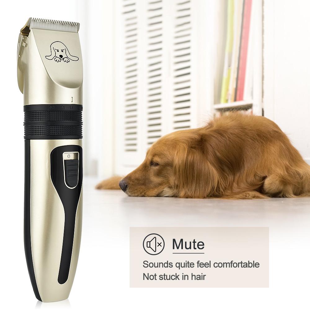 Kit de toilettage pour chien à domicile