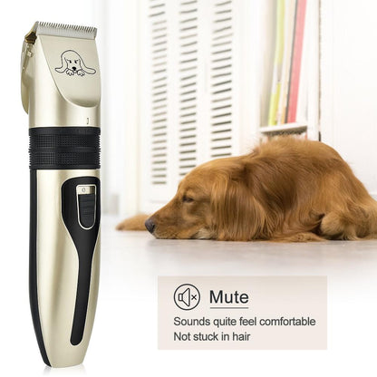 Kit de toilettage pour chien à domicile