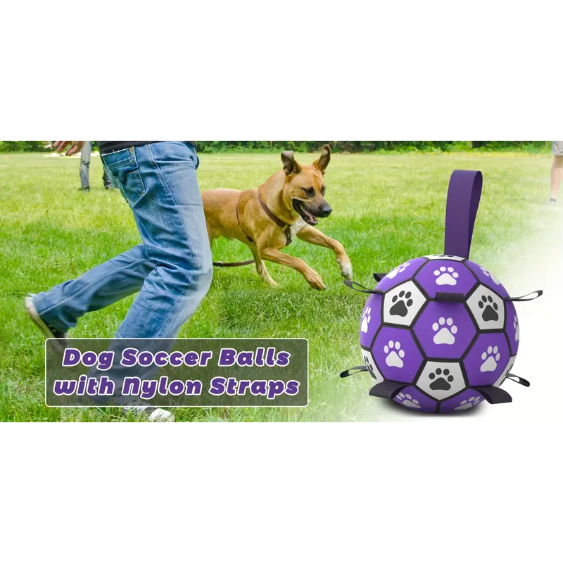 Dog 🐶 Rubber Dog Durable Soccer Ball with Straps - Purple/Black (Ballon de Football Résistant pour Chiens)