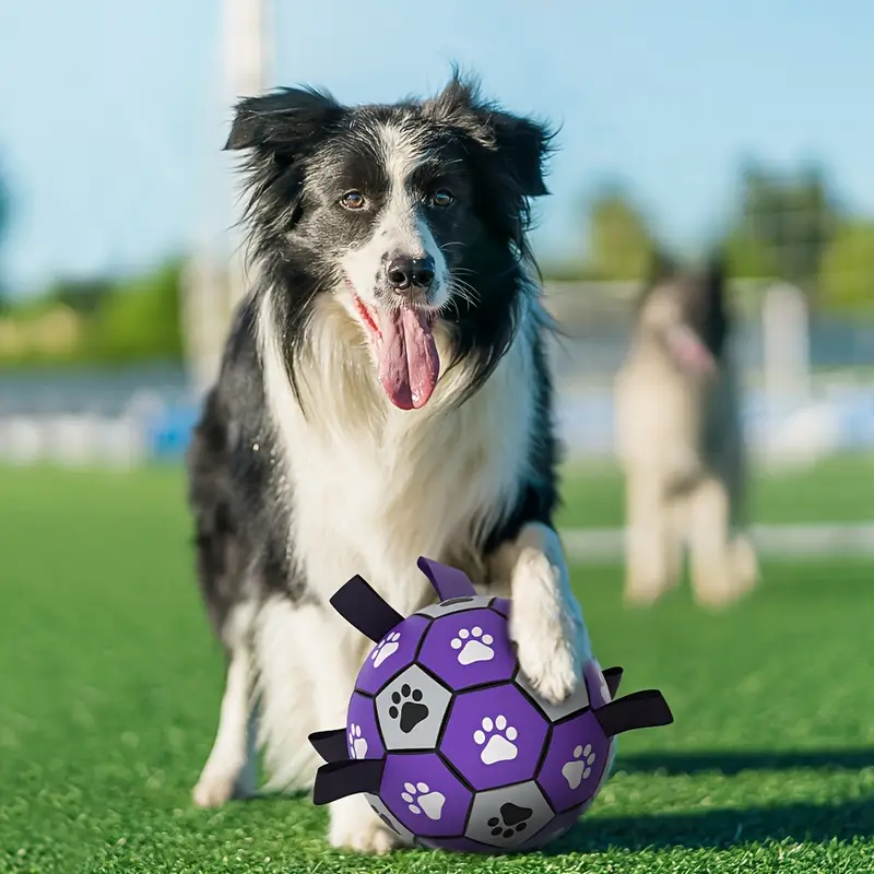 Dog 🐶 Rubber Dog Durable Soccer Ball with Straps - Purple/Black (Ballon de Football Résistant pour Chiens)