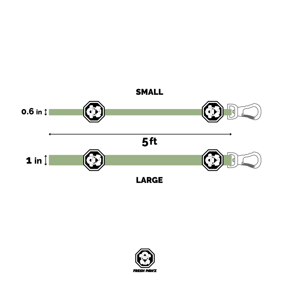 Laisse Caesar Cuban Link - Luxe pour chien - Acier inoxydable massif - Big Dog Chains