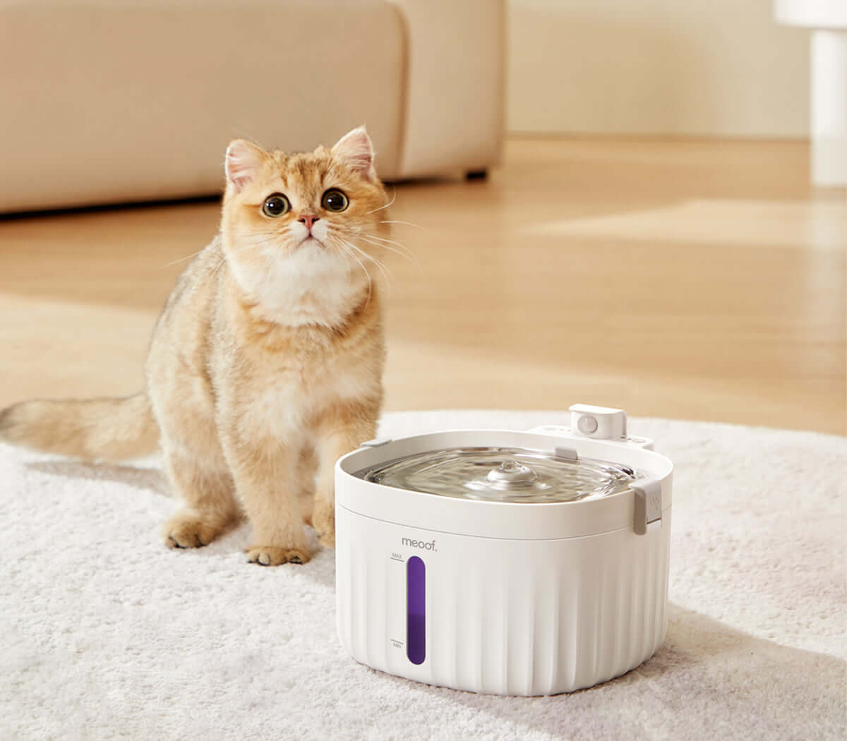 🐱 🐶 Fontaine Intelligente Sans Fil - Hydratation Premium & Filtration Avancée (2L Inox 304)